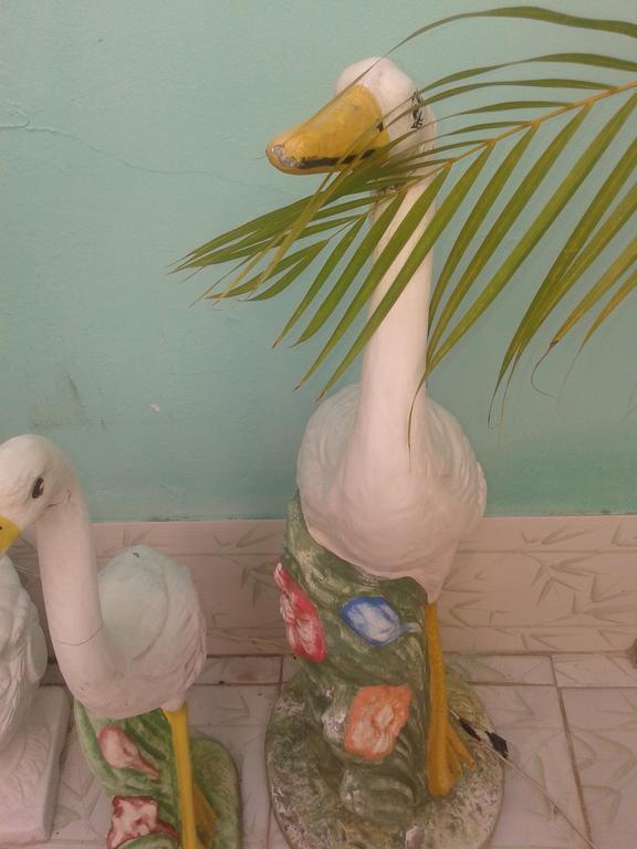 Pousada Recanto De Salvador Rum bild